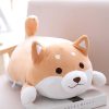 Plushies Kawaii Therapy | Kawaii Shiba Inu Plush Xl Large Edition