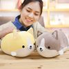 Plushies Kawaii Therapy | Kawaii Corgi Chubby Plush (30Cm)